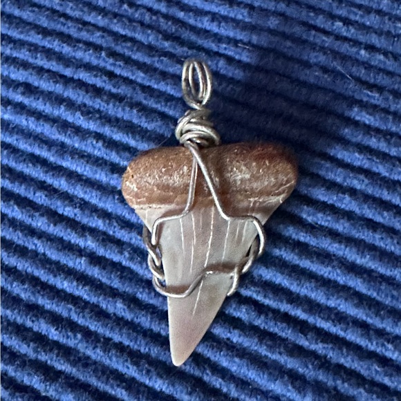 Great White Shark’s Tooth in .925 silver - Picture 4 of 6